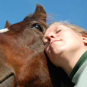 animal therapy